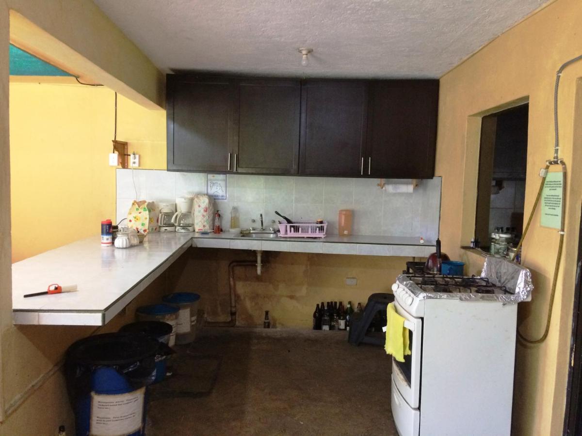 Amigos Hostel Cozumel Ngoại thất bức ảnh