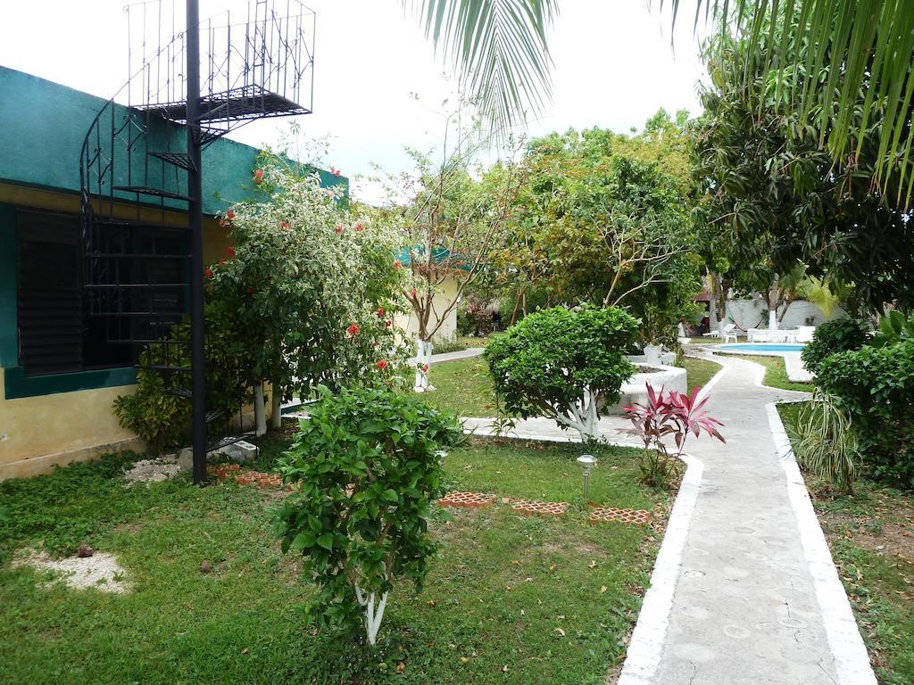 Amigos Hostel Cozumel Ngoại thất bức ảnh