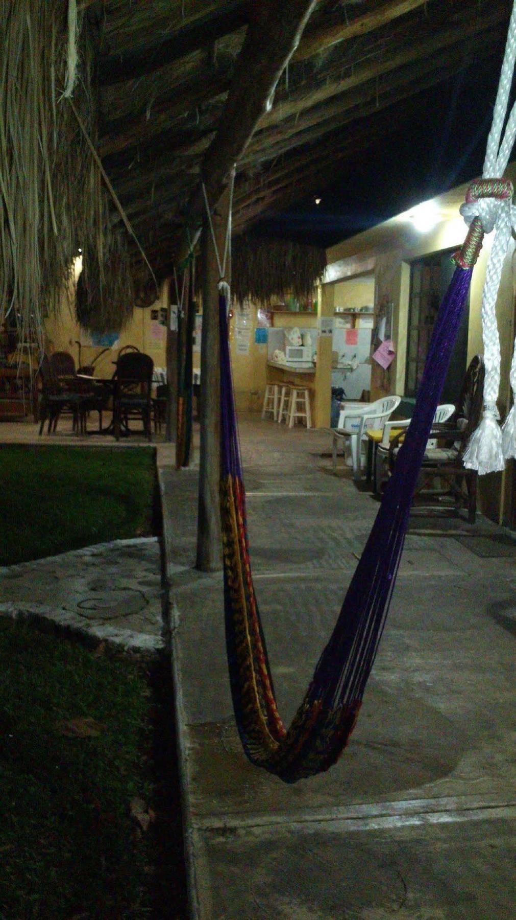 Amigos Hostel Cozumel Ngoại thất bức ảnh