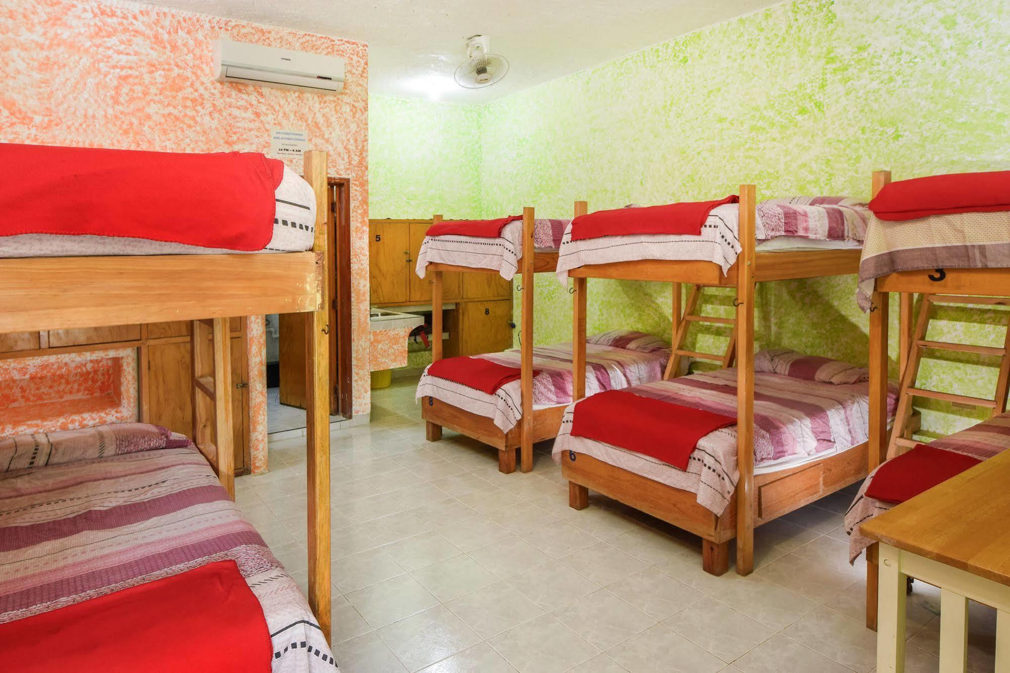 Amigos Hostel Cozumel Giường trong nhà trọ bức ảnh