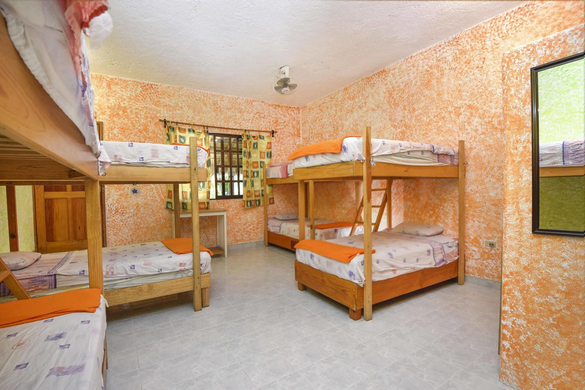 Amigos Hostel Cozumel Ngoại thất bức ảnh