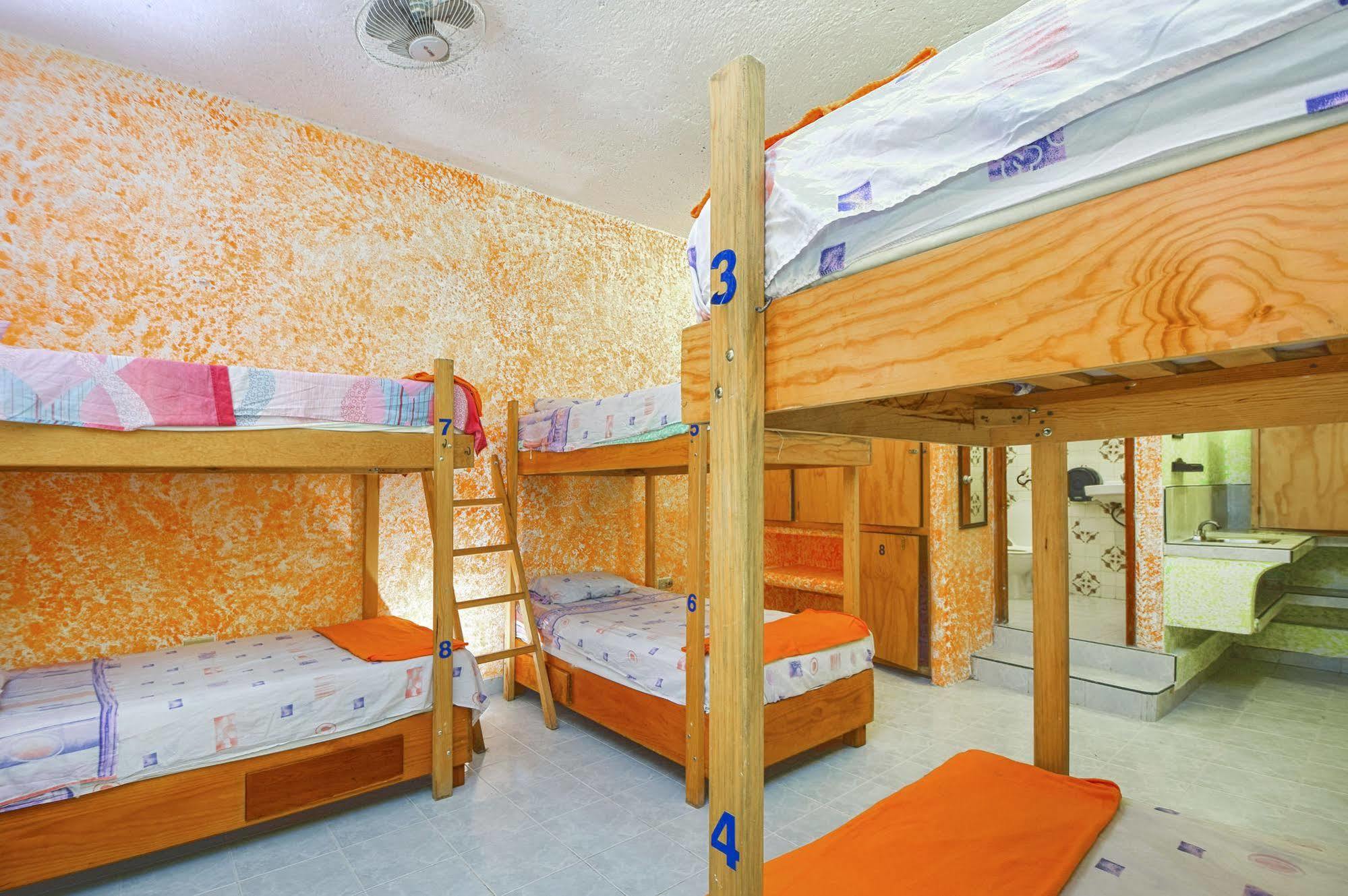 Amigos Hostel Cozumel Ngoại thất bức ảnh