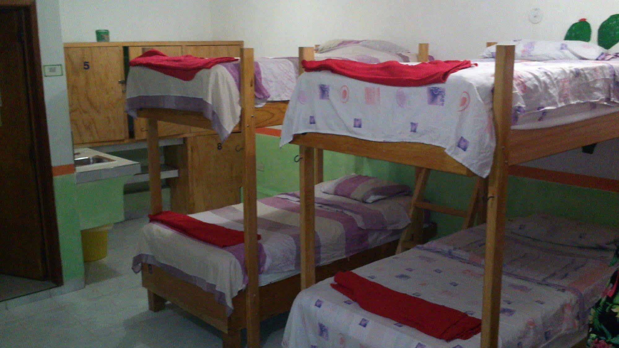 Amigos Hostel Cozumel Giường trong nhà trọ bức ảnh
