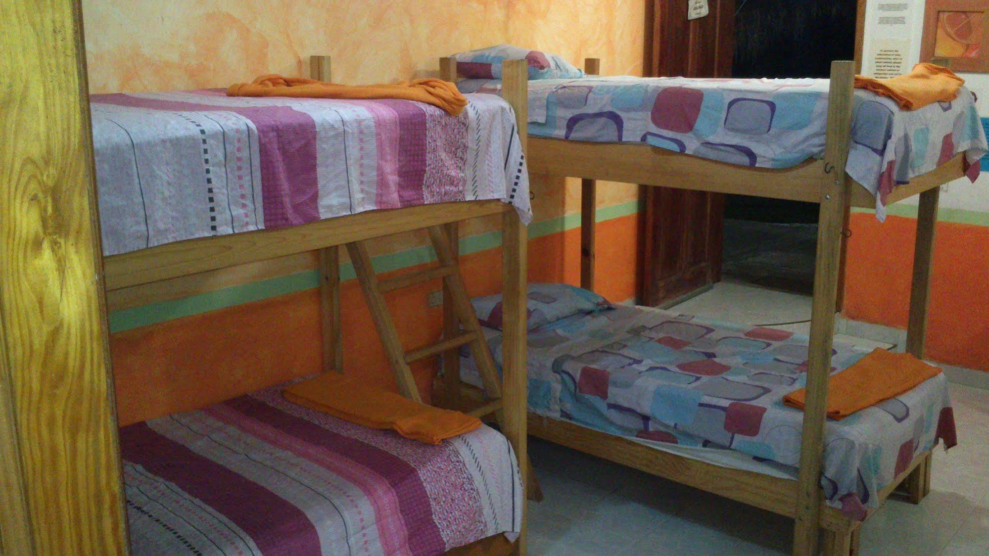Amigos Hostel Cozumel Ngoại thất bức ảnh